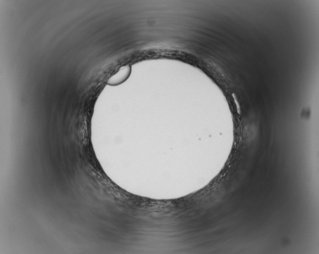 X0000114231062200911201104