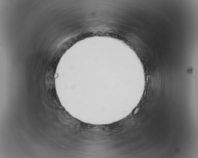 X0000114231063200911201104