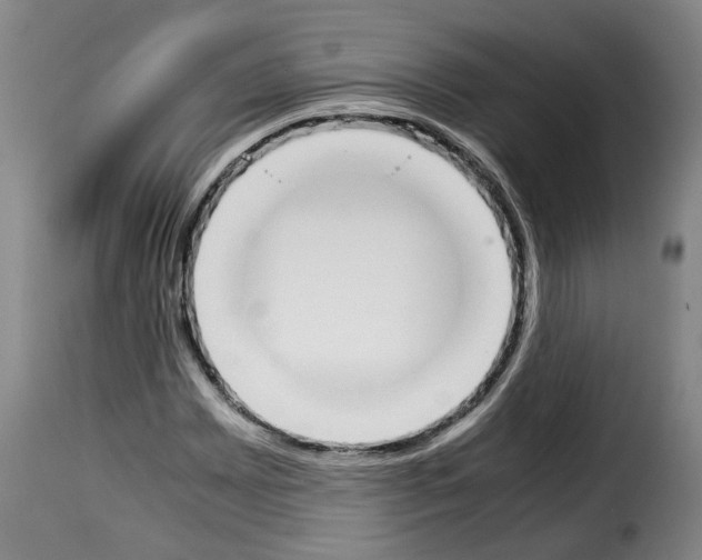 X0000114231065200911201104