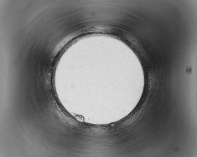 X0000114231066200911201104