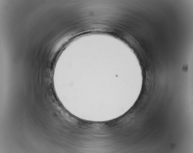 X0000114231067200911201104