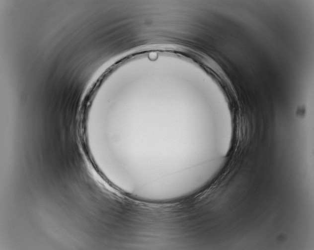 X0000114231068200911201104