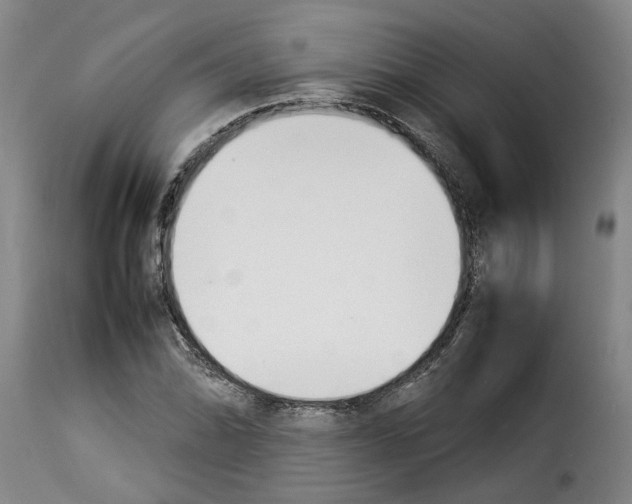 X0000114231070200911201104