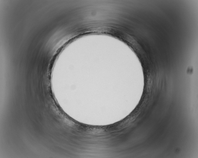 X0000114231071200911201104