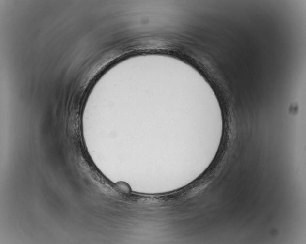 X0000114231073200911201104