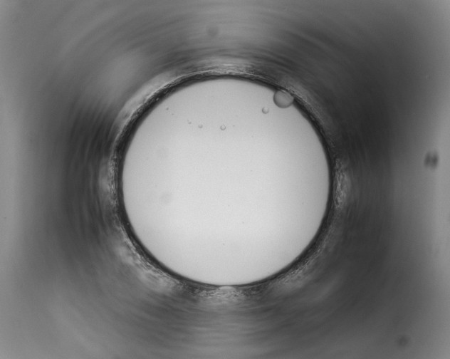 X0000114231074200911201104