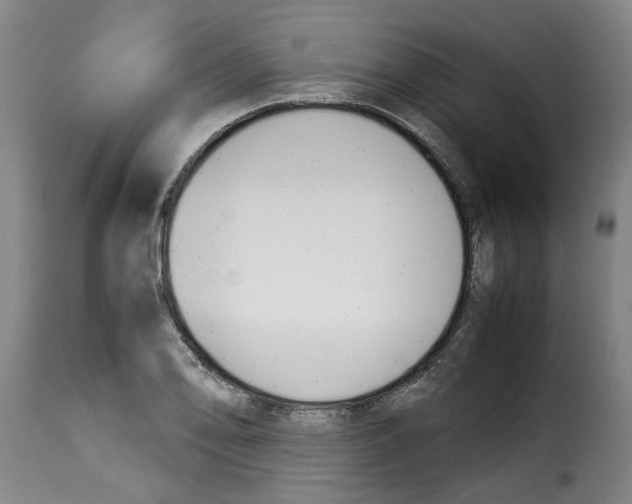 X0000114231078200911201104