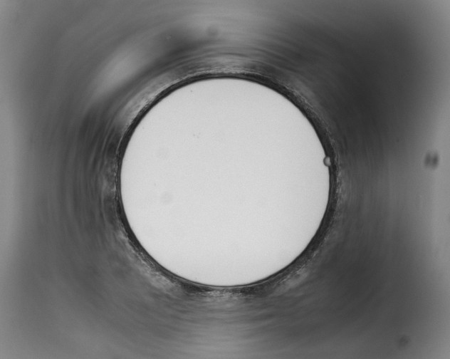 X0000114231081200911201104
