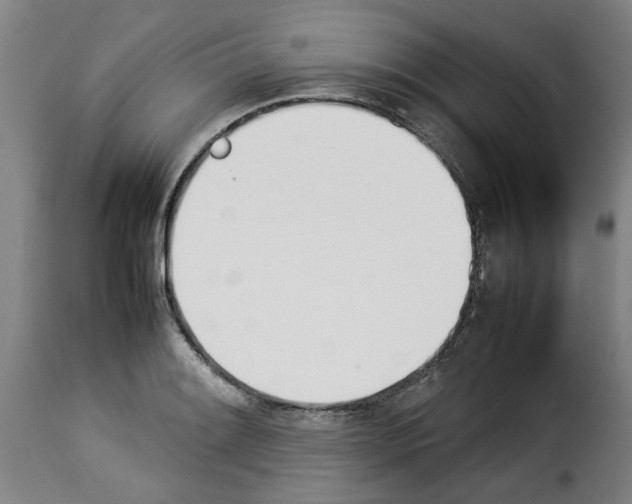 X0000114231084200911201104