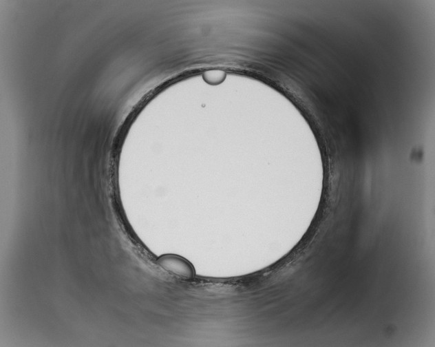 X0000114231085200911201104
