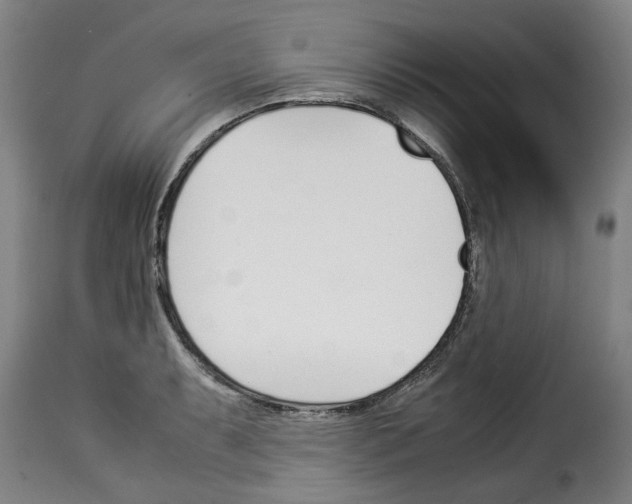 X0000114231087200911201104
