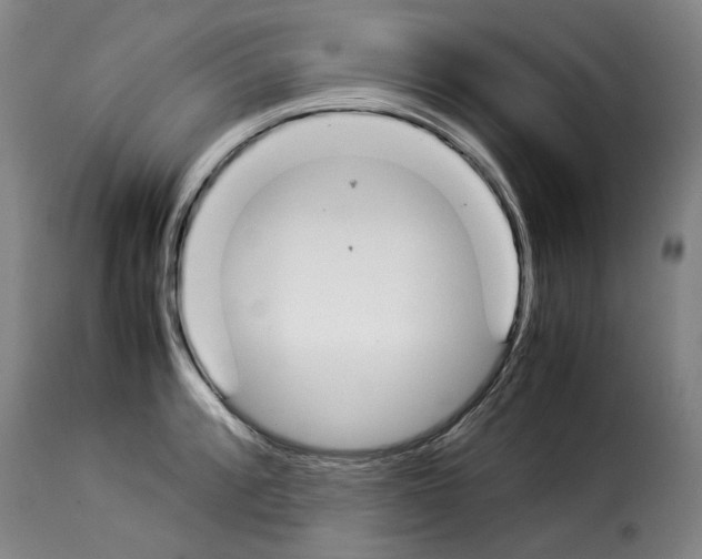X0000114231088200911201104