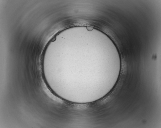 X0000114231090200911201104