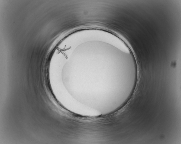 X0000114231093200911201104