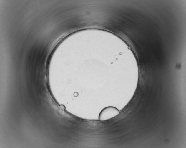 X0000114231096200911201104