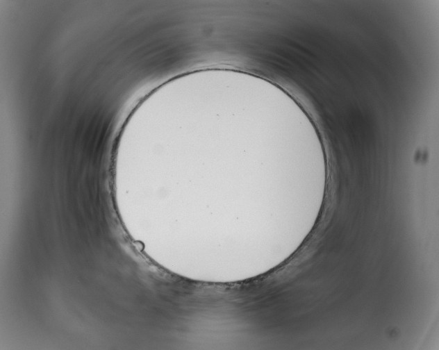 X0000114231104200911201104