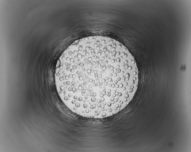 X0000114231106200911201103