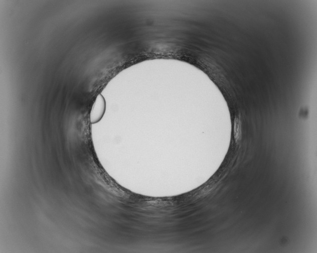 X0000114231107200911201103