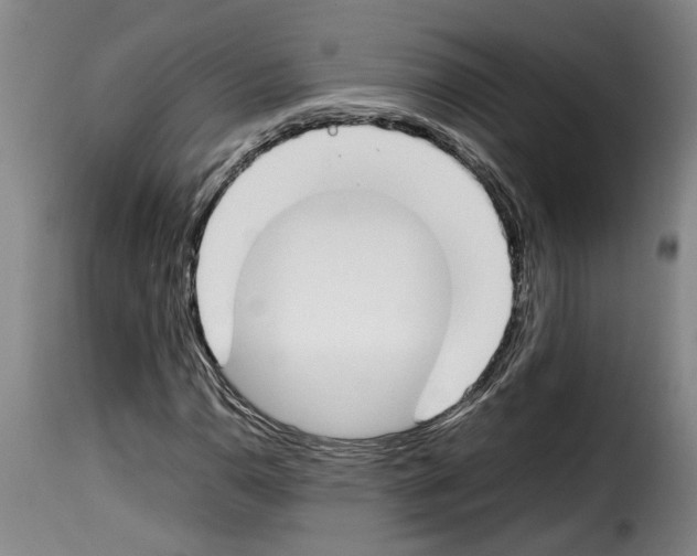 X0000114231110200911201103