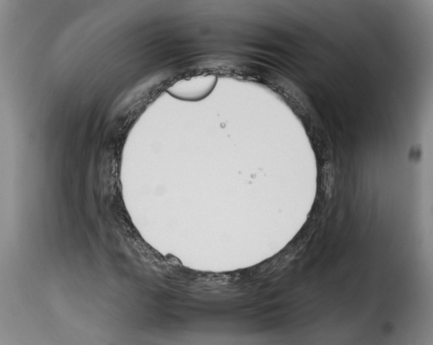 X0000114231111200911201103