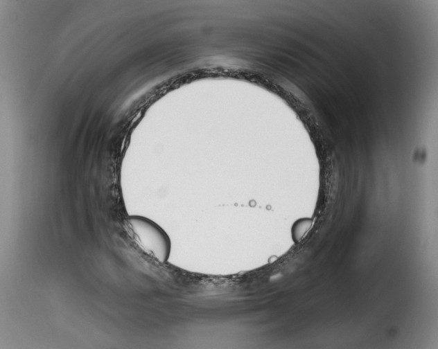 X0000114231112200911201103