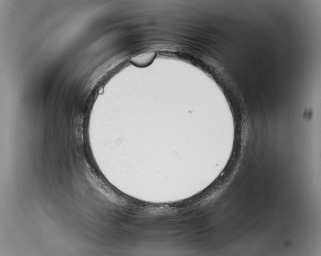 X0000114231113200911201103