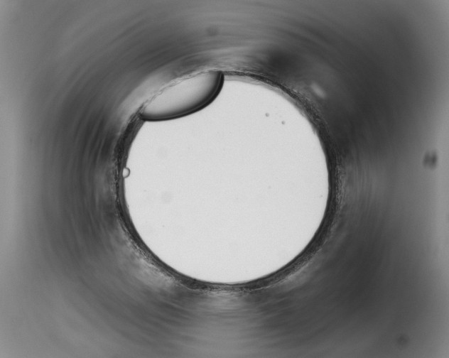 X0000114231114200911201103