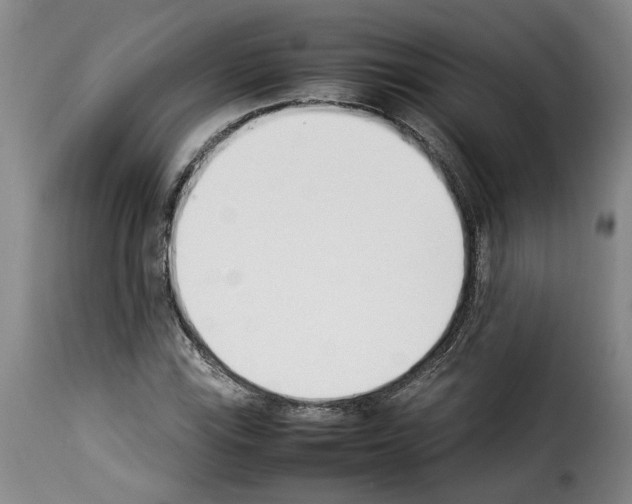X0000114231115200911201103