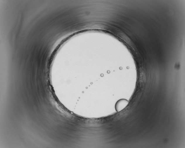 X0000114231116200911201103
