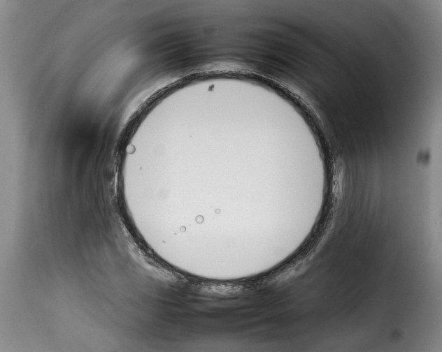 X0000114231117200911201103