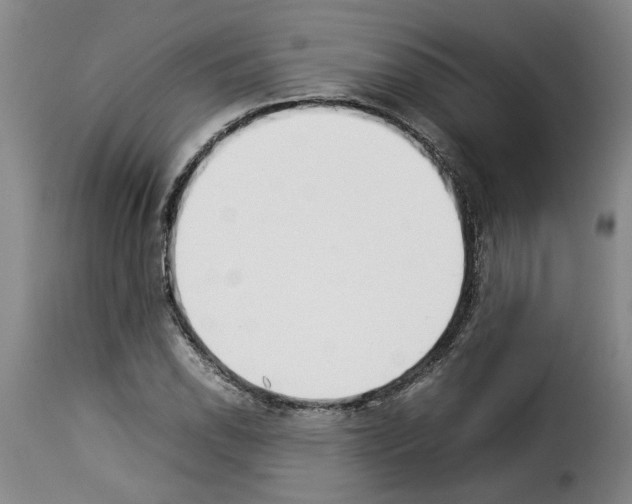 X0000114231118200911201103