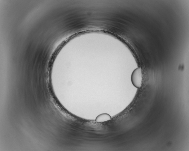X0000114231119200911201103