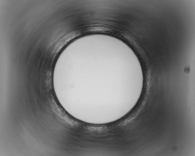 X0000114231121200911201103
