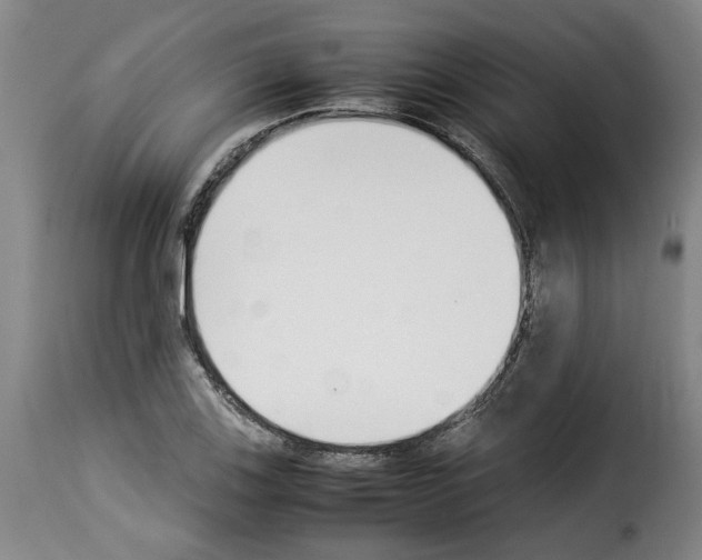 X0000114231123200911201104