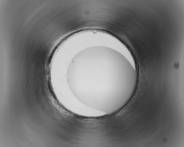 X0000114231124200911201104
