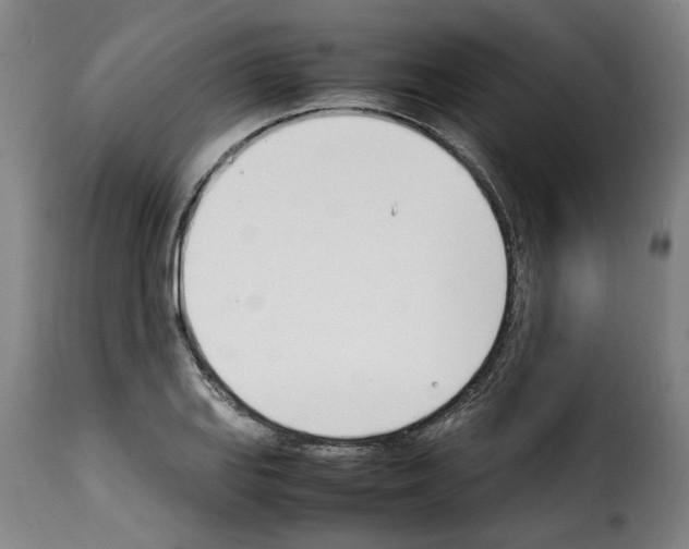 X0000114231127200911201104