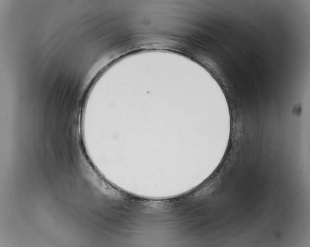 X0000114231130200911201104