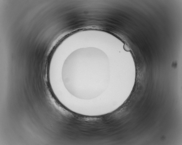 X0000114231131200911201104