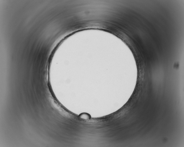 X0000114231132200911201104