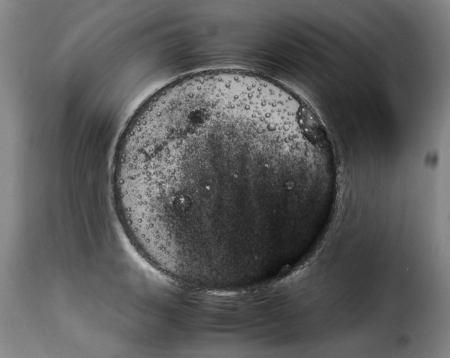 X0000114231135200911201104