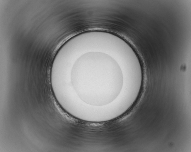 X0000114231137200911201104