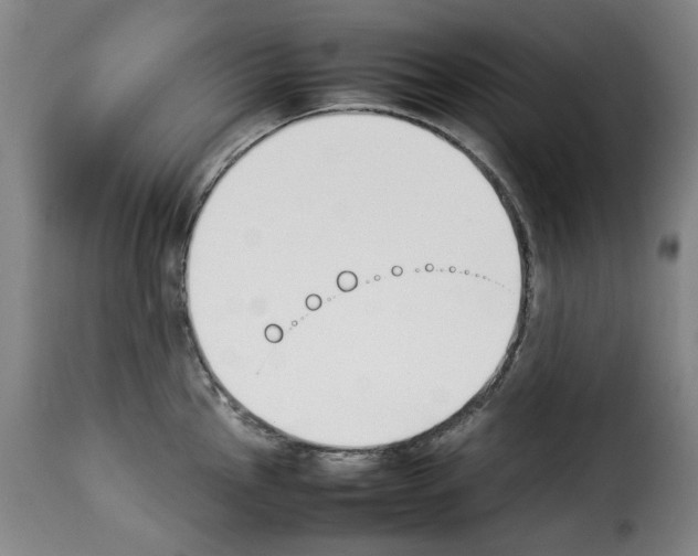 X0000114231145200911201104