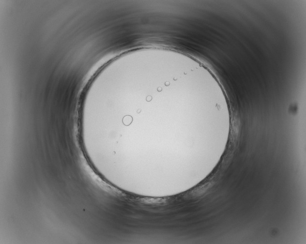 X0000114231147200911201104