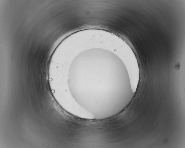 X0000114231148200911201104