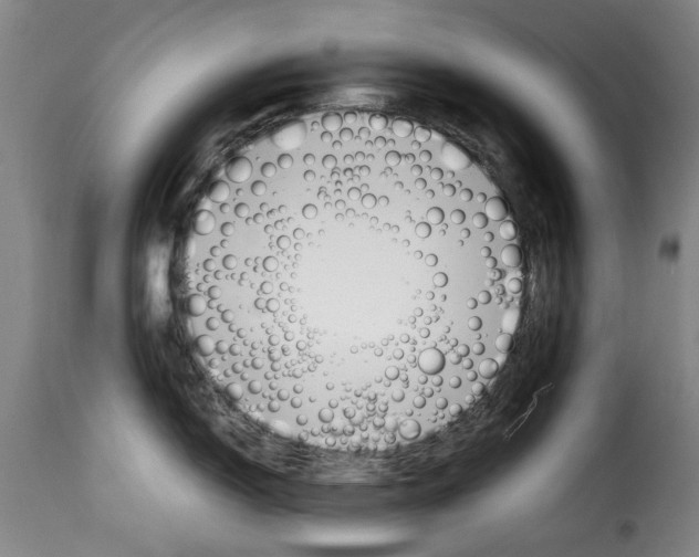 X0000114231150200911201104