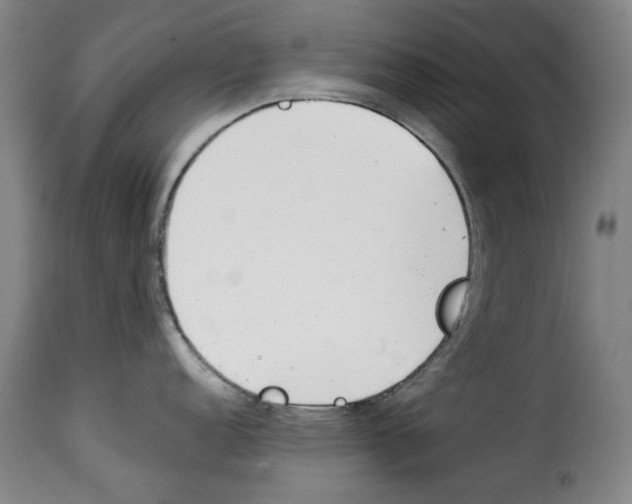 X0000114231152200911201104