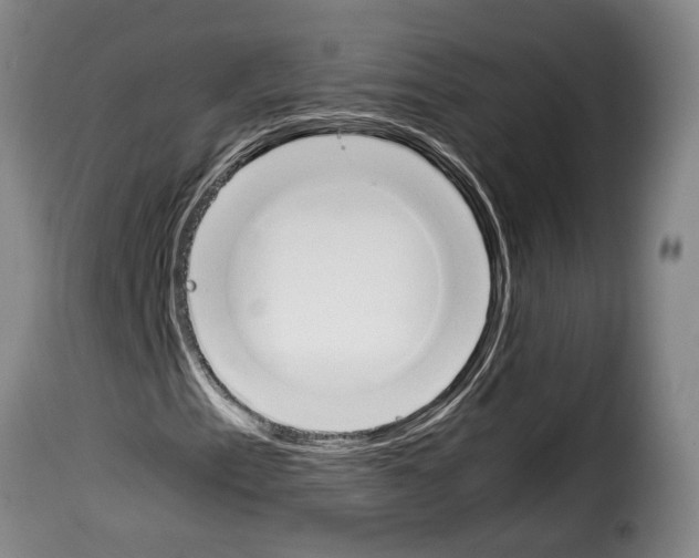 X0000114231153200911201103