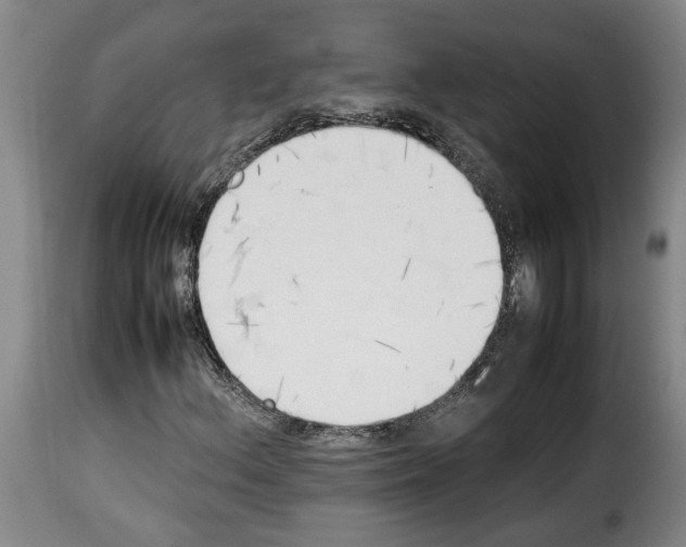 X0000114231156200911201103