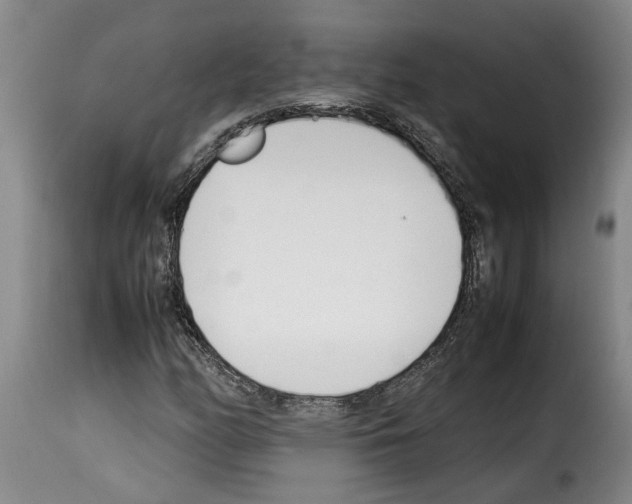X0000114231158200911201103