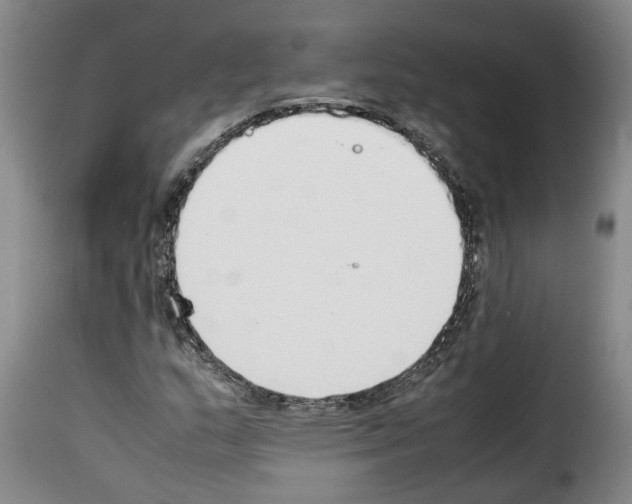 X0000114231159200911201103